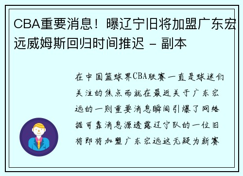 CBA重要消息！曝辽宁旧将加盟广东宏远威姆斯回归时间推迟 - 副本